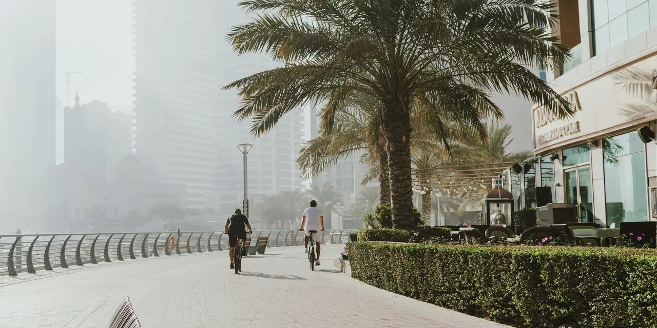 Dubai Police Warns Against Platforms Promoting Deceptive Investment Offers