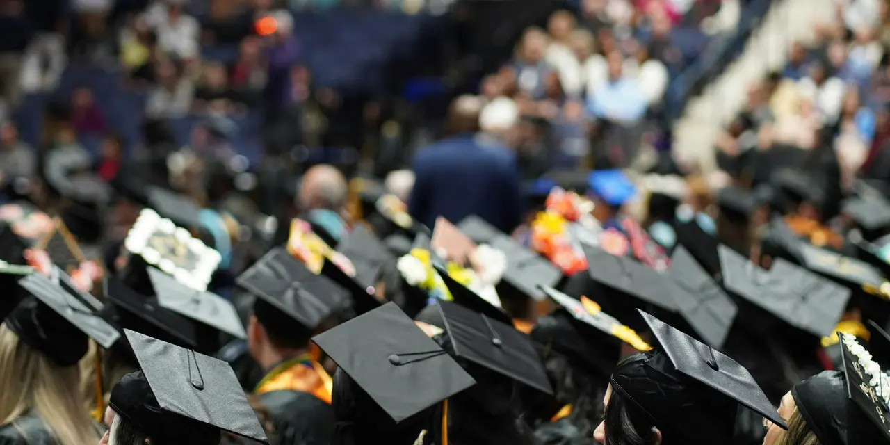 UAE Fake Degree Cases Highlight the Importance of Qualification Verification